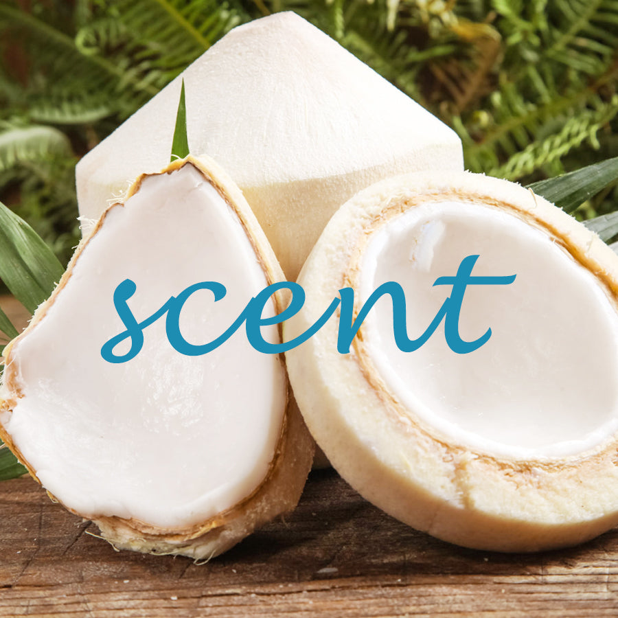 Fractionated Coconut Oil for Skin & Hair, Massage Oil with 100% Pure Cocos Nucifera - Moisturizes and Nourishes Skin and Hair, Liquid Carrier Oil for DIY, Pure and Vegan - 7.5 fl oz.