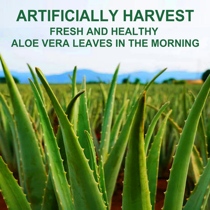 Aloe Vera Gel - 99% Pure Organic - Soothes sunburn and hydrates face, body, scalp and hair - Calms and moisturizes after sun exposure